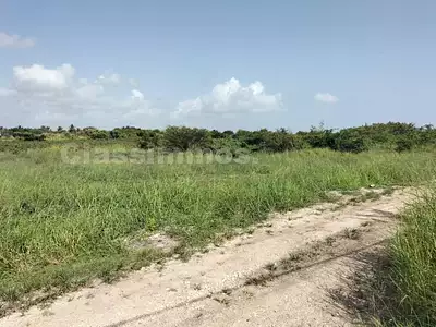 Terrain, 600 m²