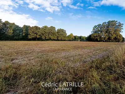 Terrain, 770 m²