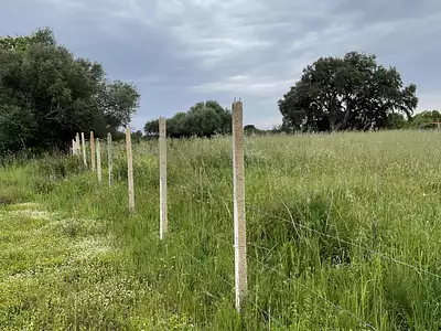 Terrain, 2 431 m²