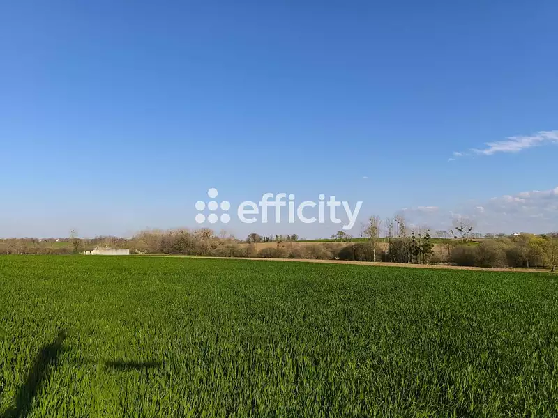 Terrain, 700 m²
