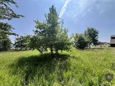 Terrain, 1 323 m²