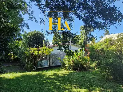 Maison, 42 m²