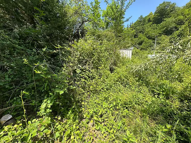 Terrain, 2 179 m²
