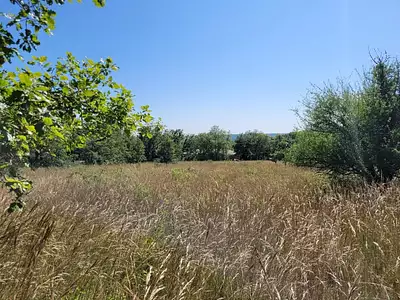 Terrain, 5 355 m²