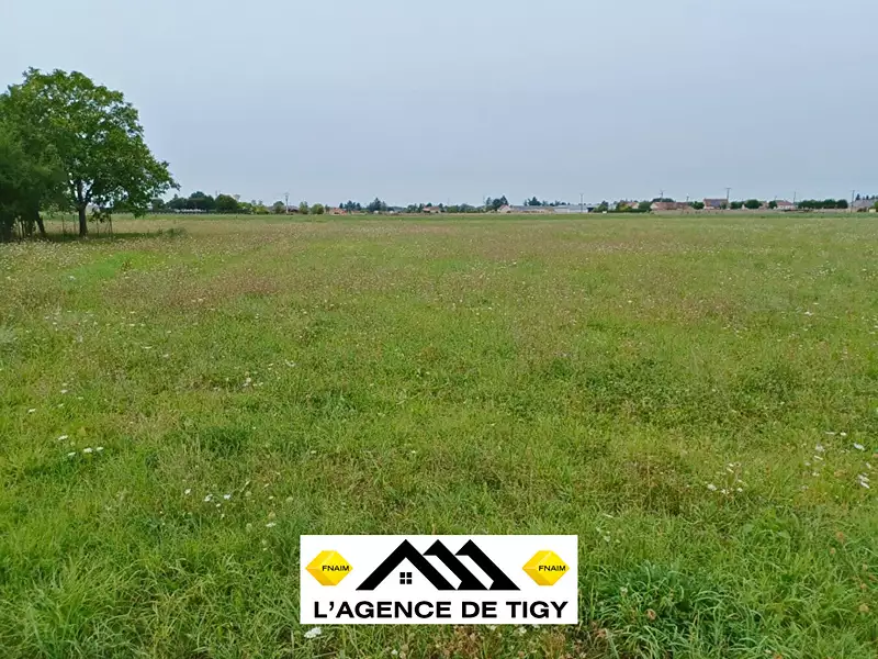 Terrain, 5 552 m²