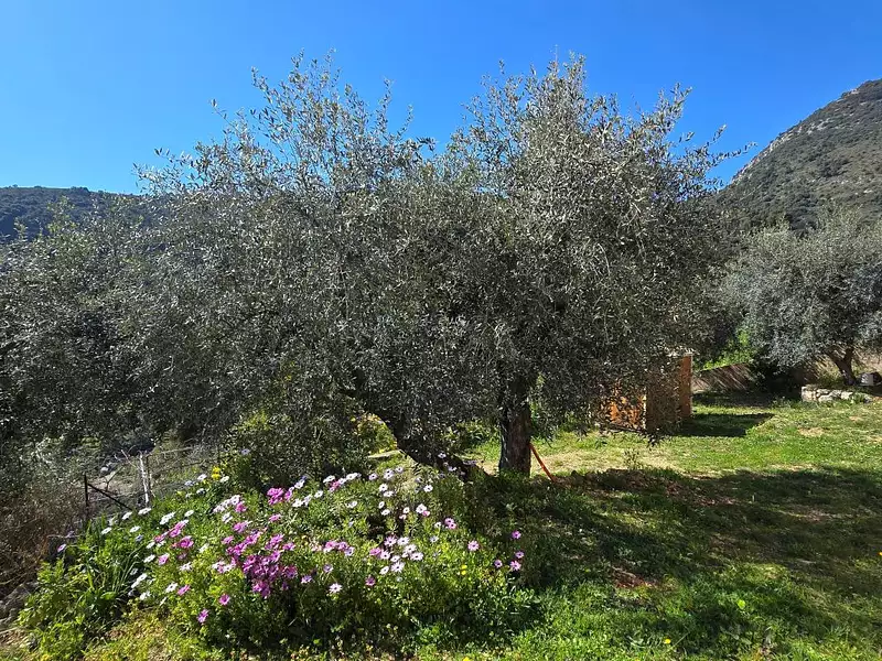 Maison, 136 m²