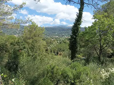 Terrain, 1 323 m²