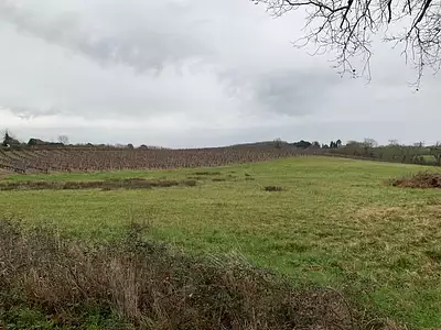 Terrain, 172 475 m²