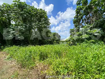 Terrain, 631 m²