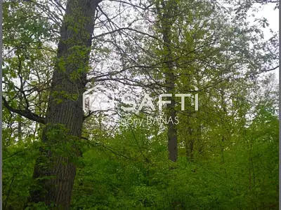 Terrain, 360 000 m²