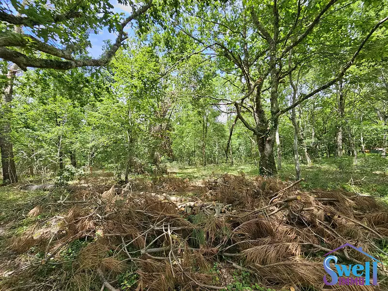 Terrain, 1 600 m²