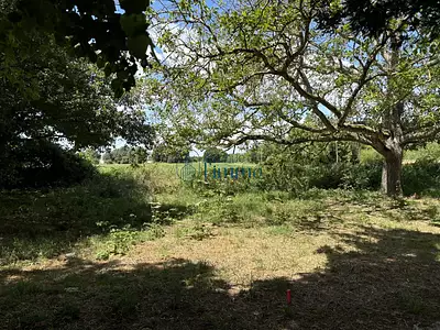 Terrain, 480 m²