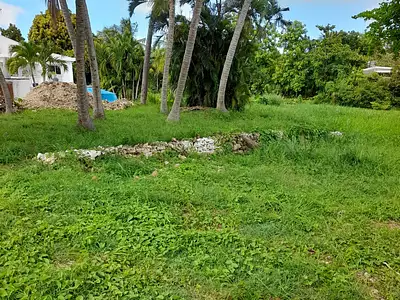 Terrain, 1 645 m²