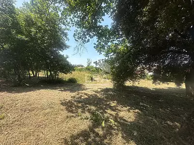 Terrain, 1 254 m²