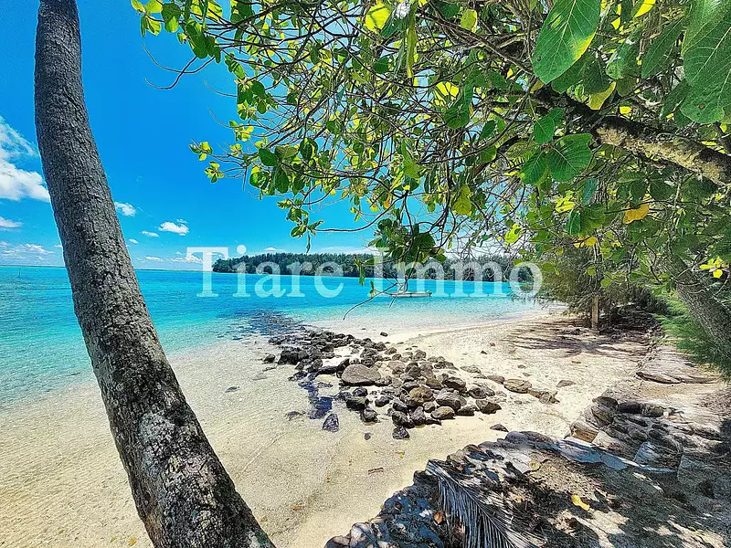 Terrain, 2 230 m²