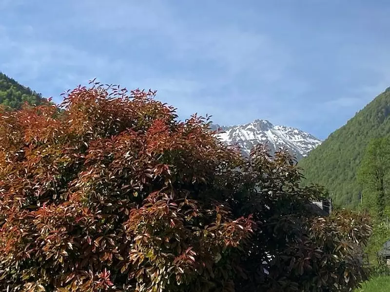 Appartement, 42,46 m²