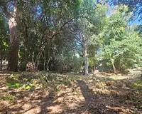 Terrain, 950 m²