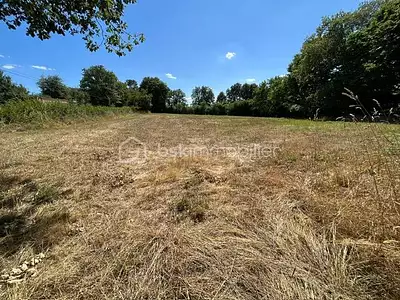 Terrain, 3 599 m²