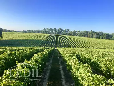 Terrain, 400 000 m²