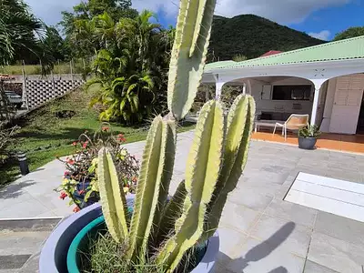 Maison, 81 m²