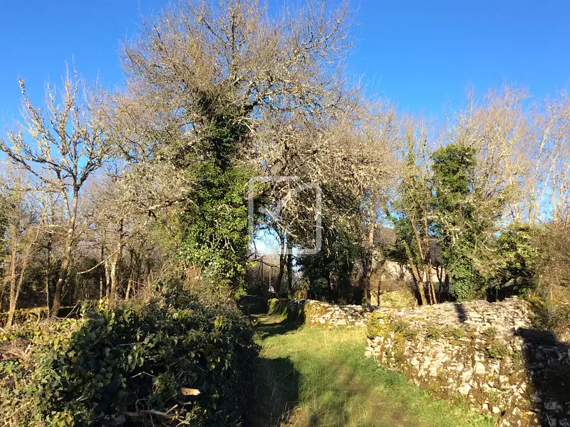 Terrain, 4 159 m²