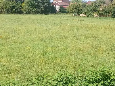 Terrain, 8 589 m²