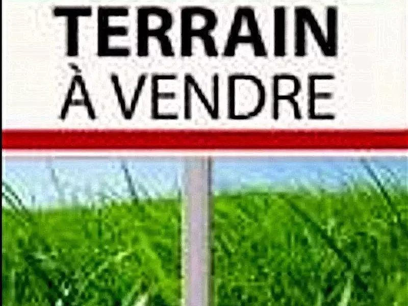 Terrain, 919 m²