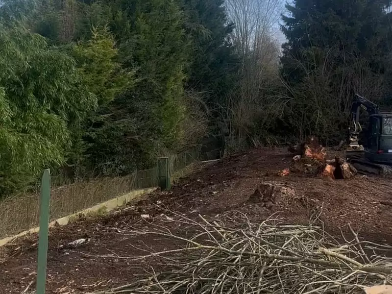 Terrain, 1 200 m²