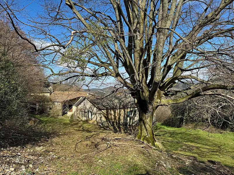 Maison, 175 m²