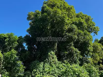 Terrain, 1 650 m²