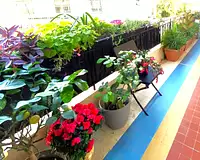 Appartement, 66 m²