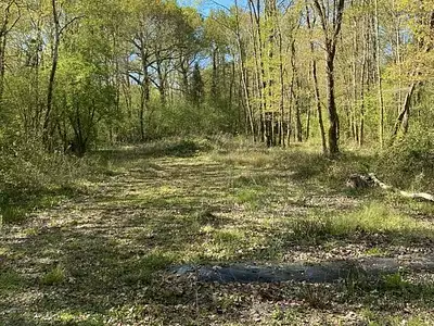 Terrain, 2 853 m²
