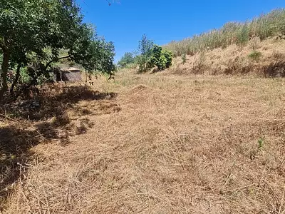 Terrain, 5 787 m²