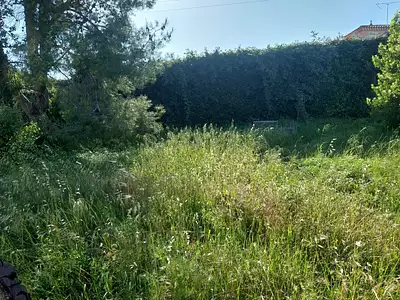 Terrain, 502 m²