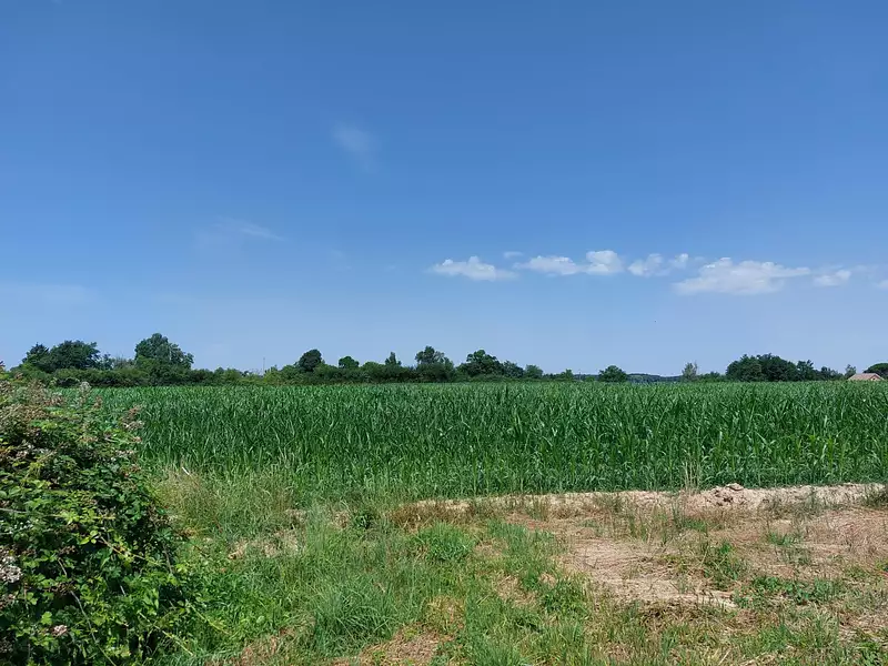 Terrain, 2 458 m²