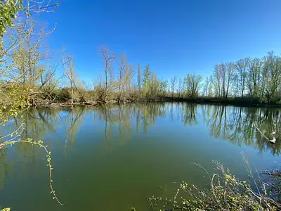 Terrain, 60 500 m²