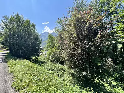 Terrain, 356 m²
