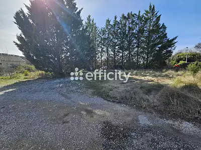 Terrain, 980 m²