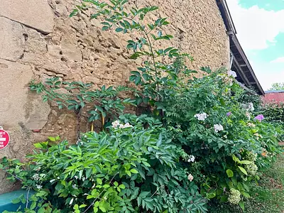 Maison, 160 m²