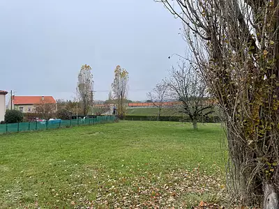 Terrain