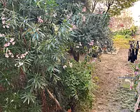 Appartement, 75,71 m²