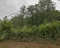Terrain, 982 m²