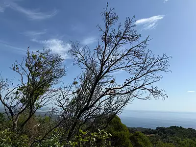 Terrain, 500 m²