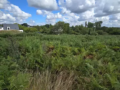 Terrain, 1 005 m²