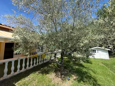 Maison, 170 m²