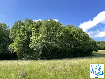 Terrain, 3 550 m²