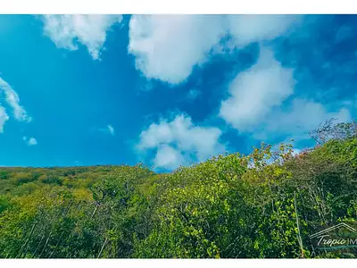 Terrain, 3 026 m²