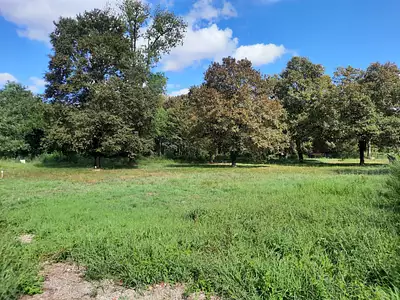 Terrain à bâtir, 487 m²