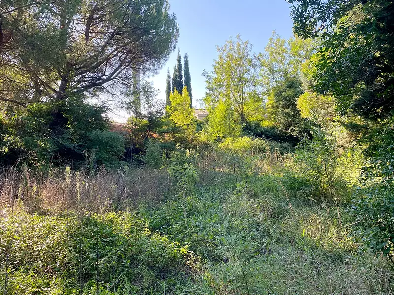 Terrain, 356 m²