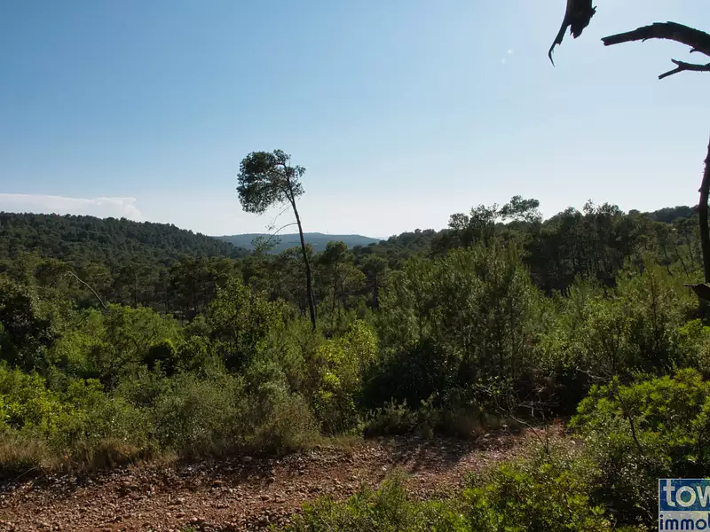 Terrain, 42 302 m²